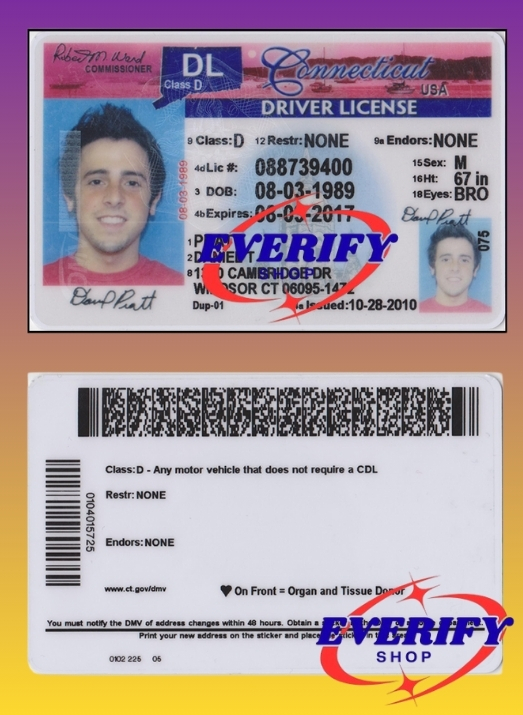 Connecticut Driving License PSD Editable Template