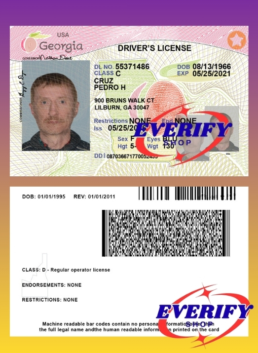 Georgia Driving License PSD Editable Template