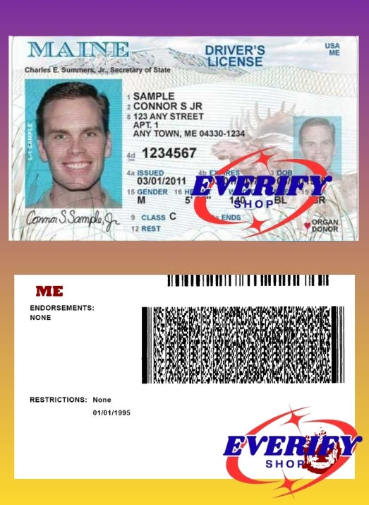 Maine Driving License PSD Editable Template