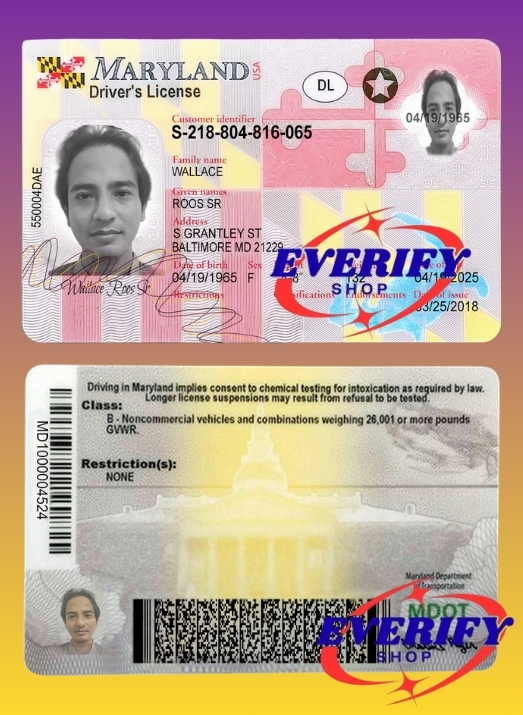 Maryland Driving License PSD Editable Template