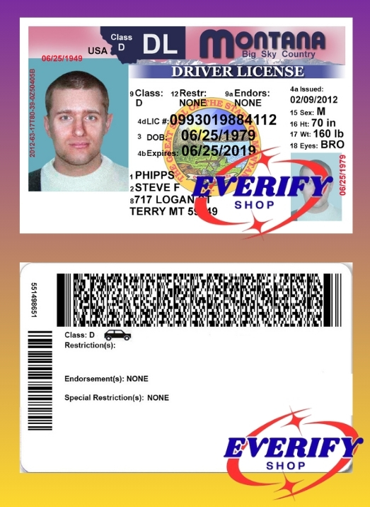 Montana Driving License PSD Editable Template