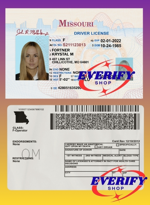 Nevada Driving License PSD Editable Template