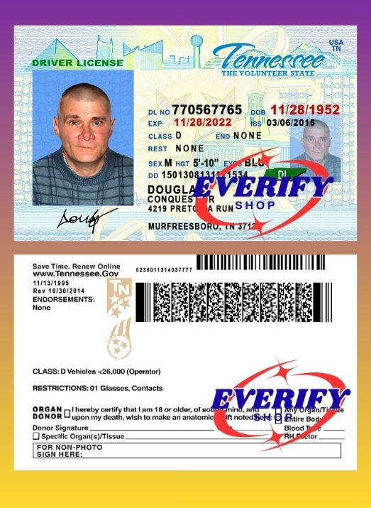 Tennessee Driving License PSD Editable Template