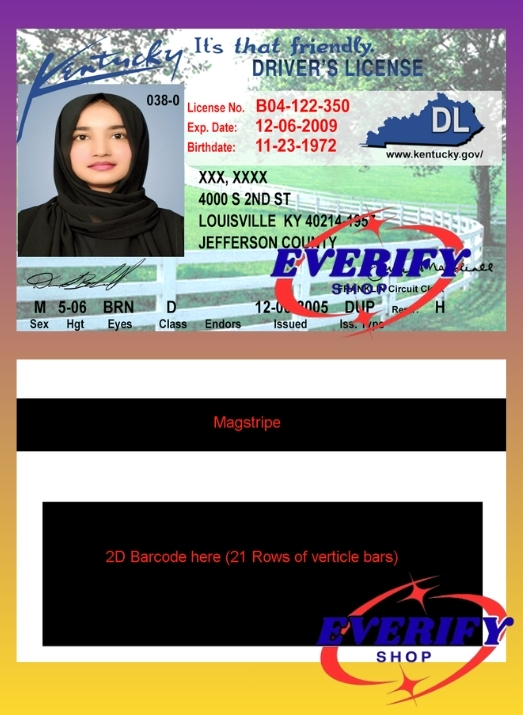 Kentucky Driving License PSD Editable Template