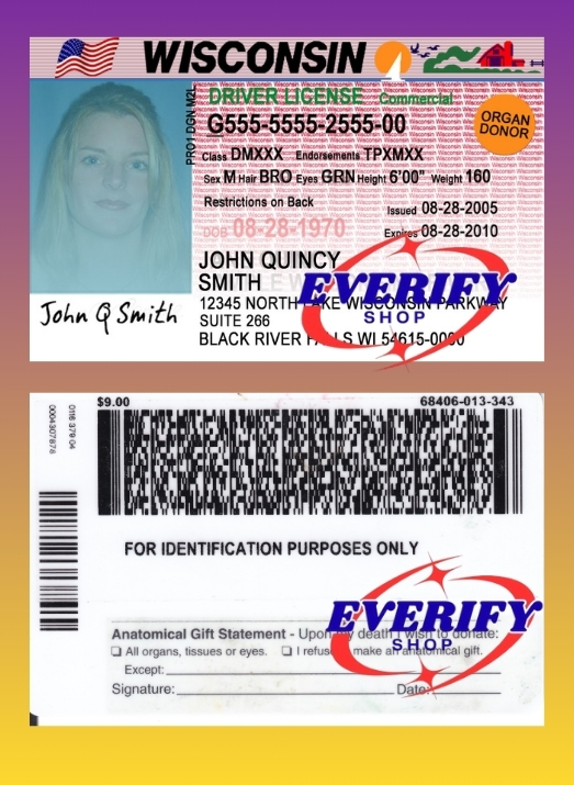 Wisconsin Driving License PSD Editable Template