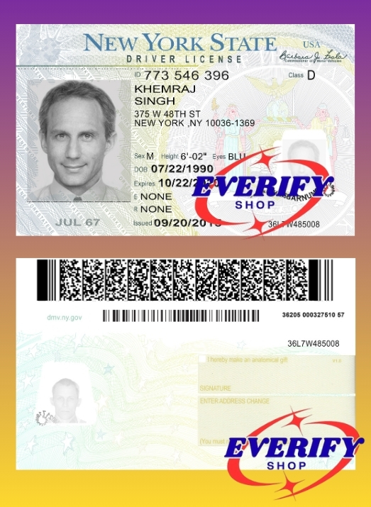 New York Driving License PSD Editable Template