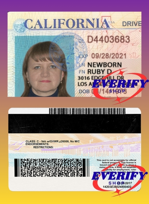 California Driving License PSD Editable Template