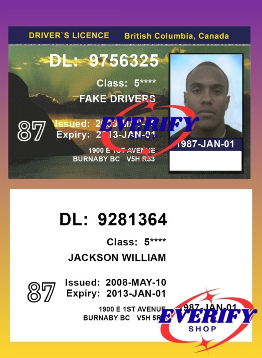 British Columbia Driving License PSD Editable Template