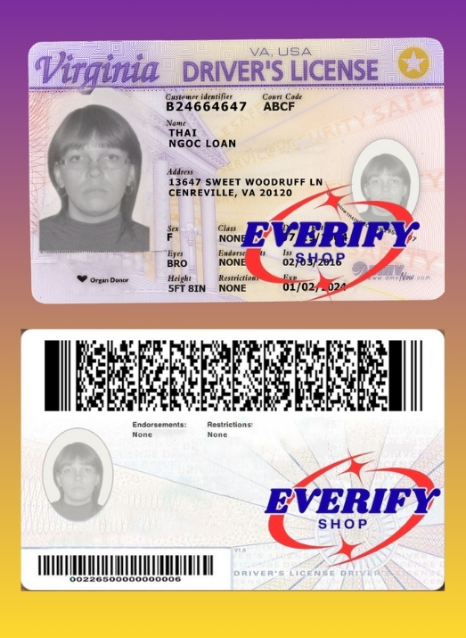 Virginia Driving License PSD Editable Template